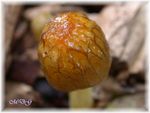 Pi� di cosi... QUIZ